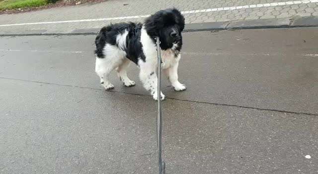 Ungewollte Streicheleinheiten etc.-Beitrag-Bild