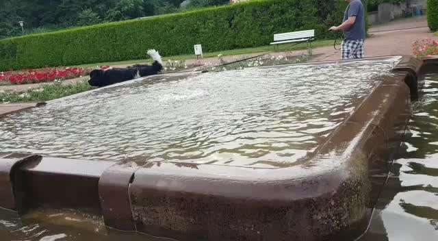 Zeigt her Eure Futternäpfe-Beitrag-Bild