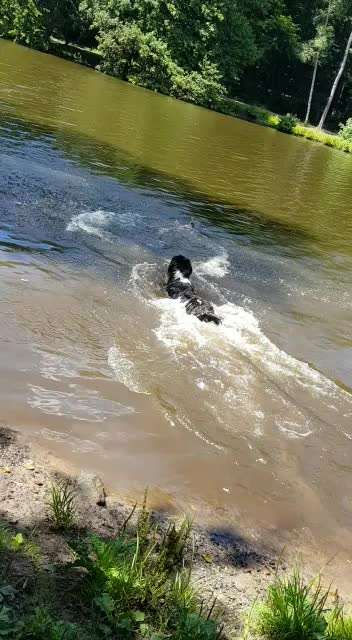 Schaumige Badebilder eurer Lieblinge-Beitrag-Bild