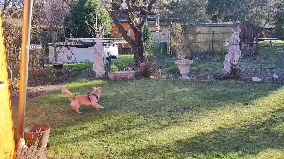 Was hat euch heute gefreut?-Beitrag-Bild