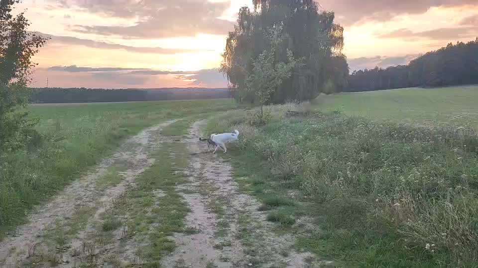 Was hat euch heute gefreut?-Beitrag-Bild