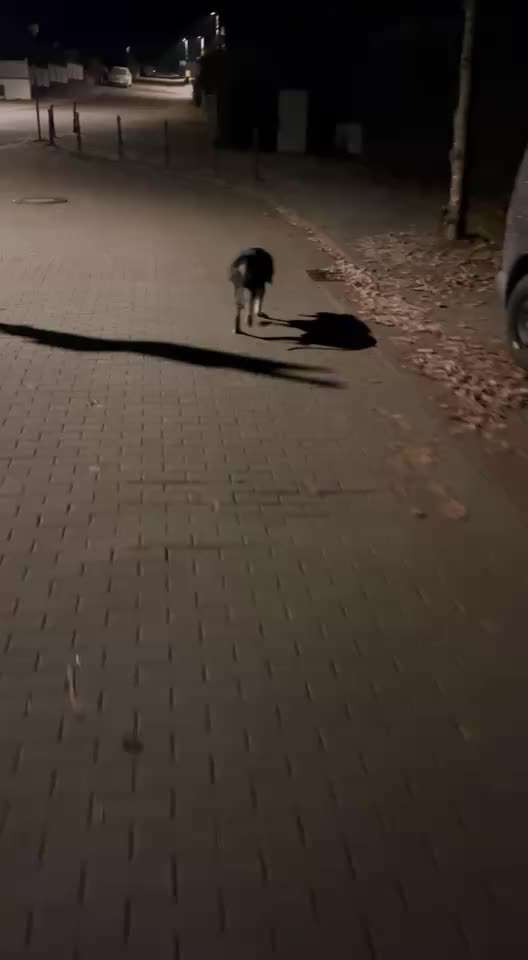 Nr. 64 Selbstständig warten zum Einleinen-Beitrag-Bild