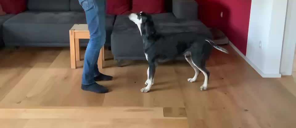 Trickchallenge Nr.86: Spiegelbild-Beitrag-Bild