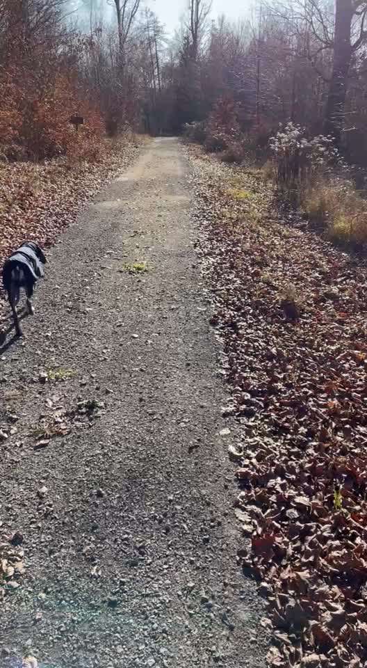 82. Trickspiel : Bleib!-Beitrag-Bild