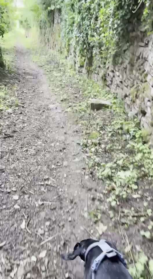 54. Impulskontrollchallenge  PAUSE MACHEN !-Beitrag-Bild