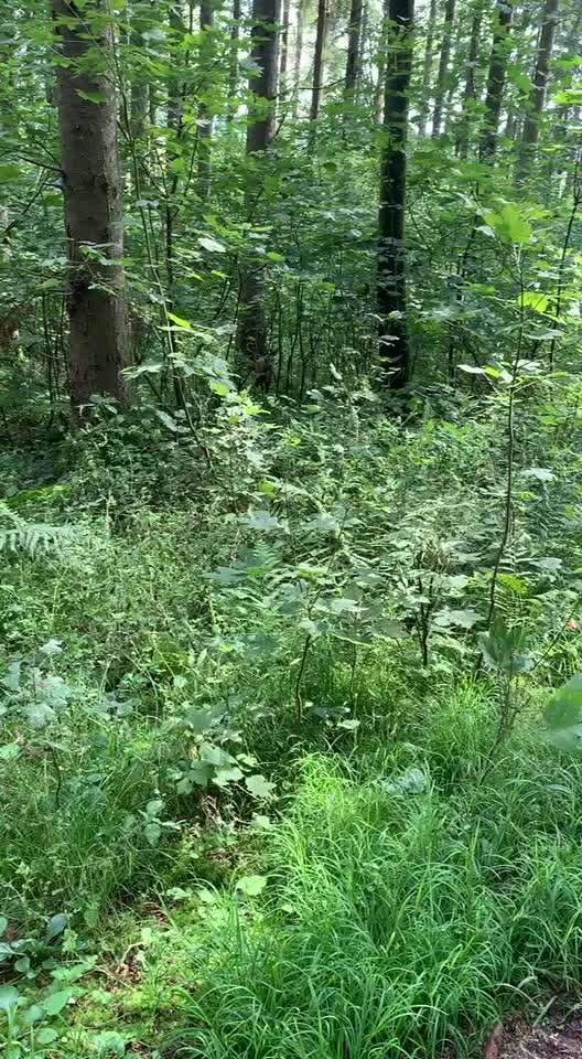 Was hat euch heute gefreut?-Beitrag-Bild