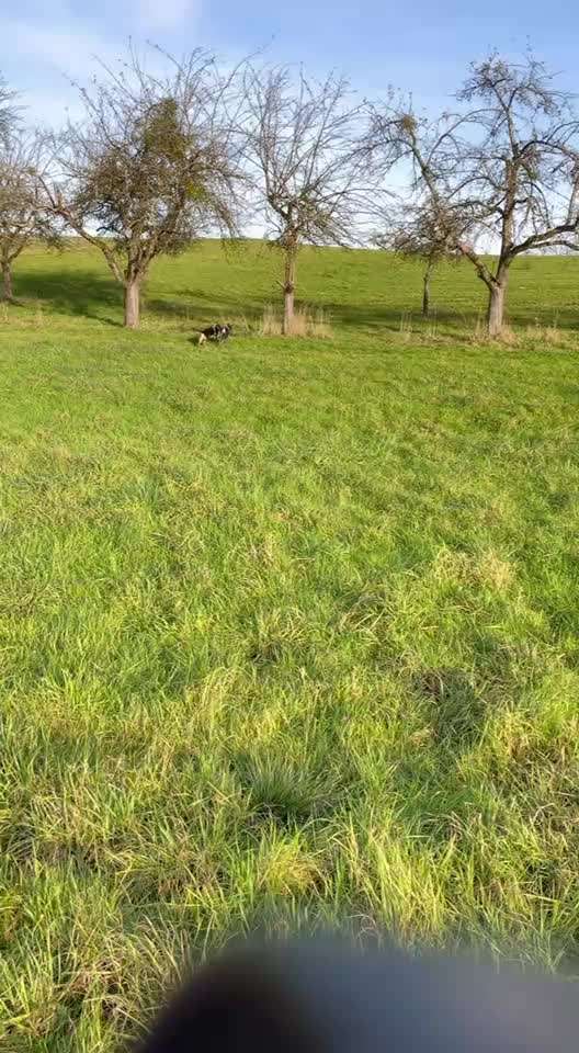 "Wege zur Freundschaft" (Ulli Reichmann)-Beitrag-Bild