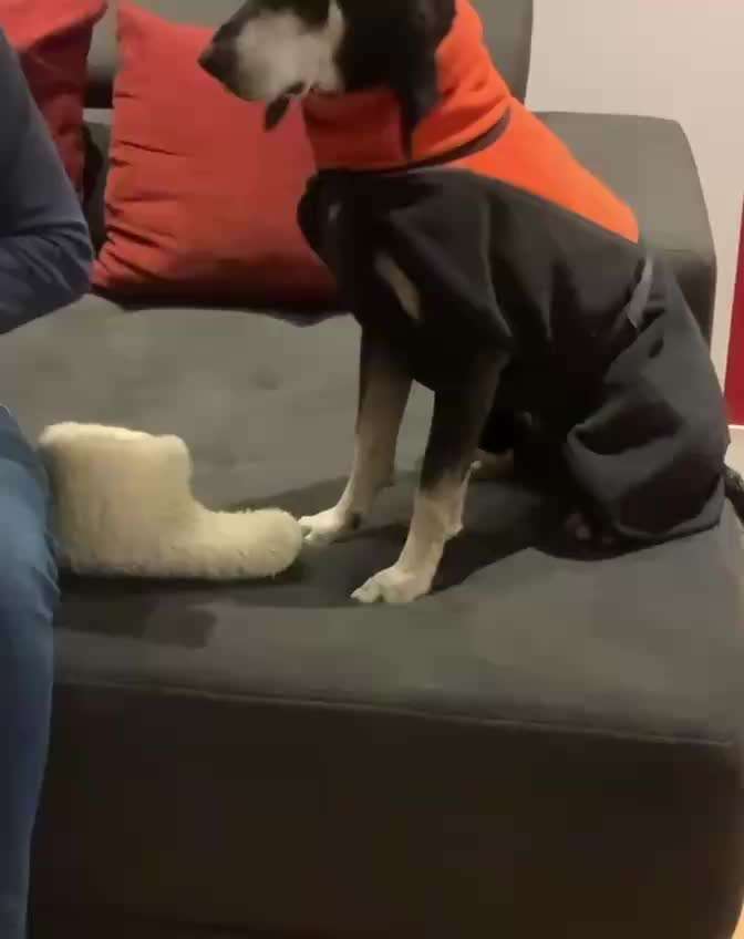 Trickchallenge Nr.86: Spiegelbild-Beitrag-Bild