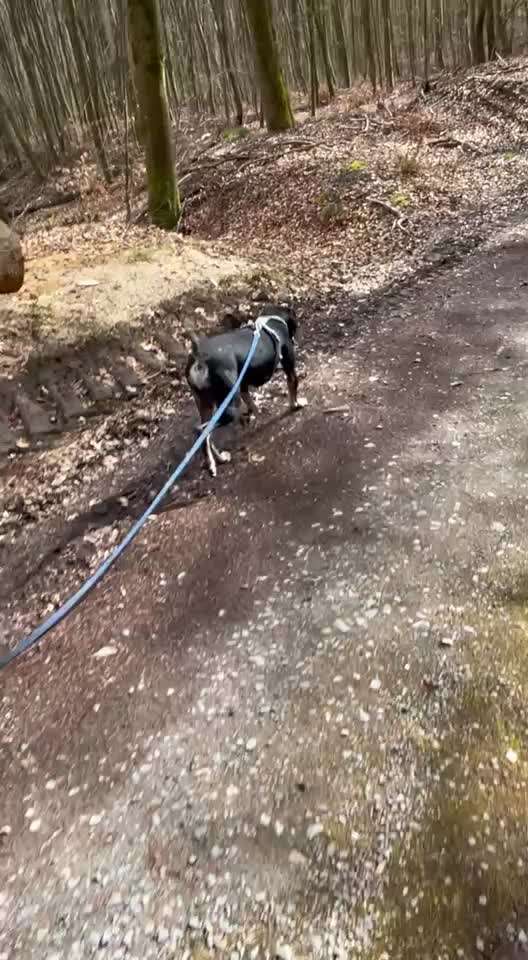"Wege zur Freundschaft" (Ulli Reichmann)-Beitrag-Bild