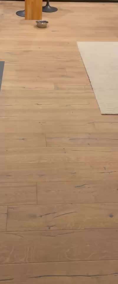 Nr.65 Impulskontrolltraining: Direkt drauf zu-Beitrag-Bild