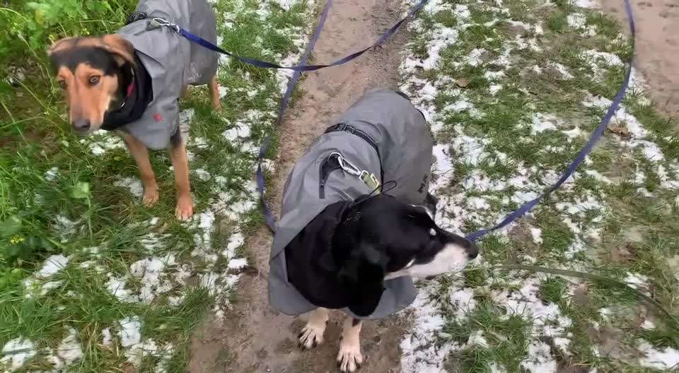 Gemeinsame Impulkontrolle Übung Nr.24-Beitrag-Bild