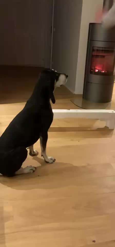 83.Trickspiel Karate-Beitrag-Bild