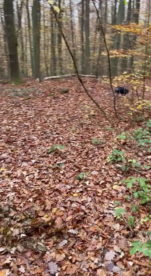 "Wege zur Freundschaft" (Ulli Reichmann)-Beitrag-Bild