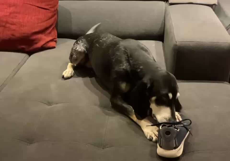 79. Trickspiel: Schuhe/Schleife öffnen-Beitrag-Bild