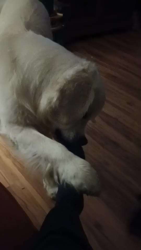 Trick Challenge Nr 27: Socken ausziehen-Beitrag-Bild