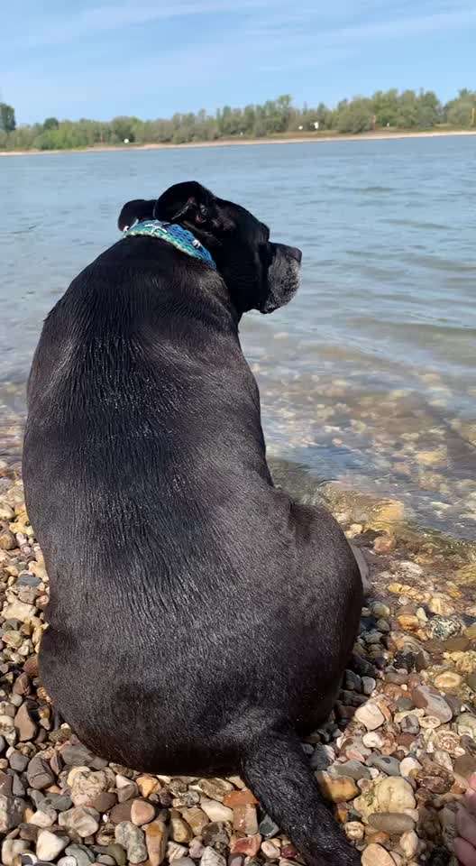 Eure schönsten Fotos mit Wasser-Beitrag-Bild