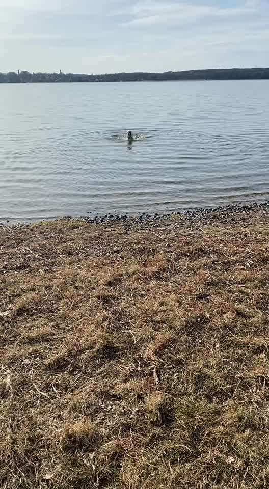 Eure Strandbilder :)-Beitrag-Bild