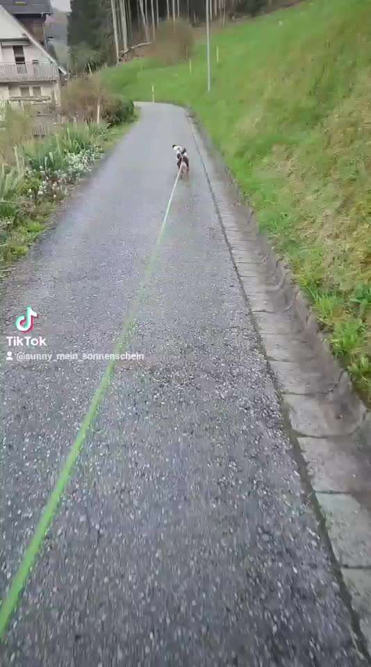 Fotochallenge Nr. 29 - Accessoires-Beitrag-Bild