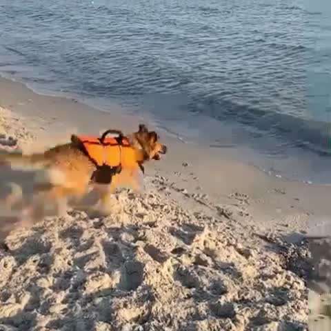 Foto Challenge - BEENDET - bitte aktuelle Challenge nutzen-Beitrag-Bild