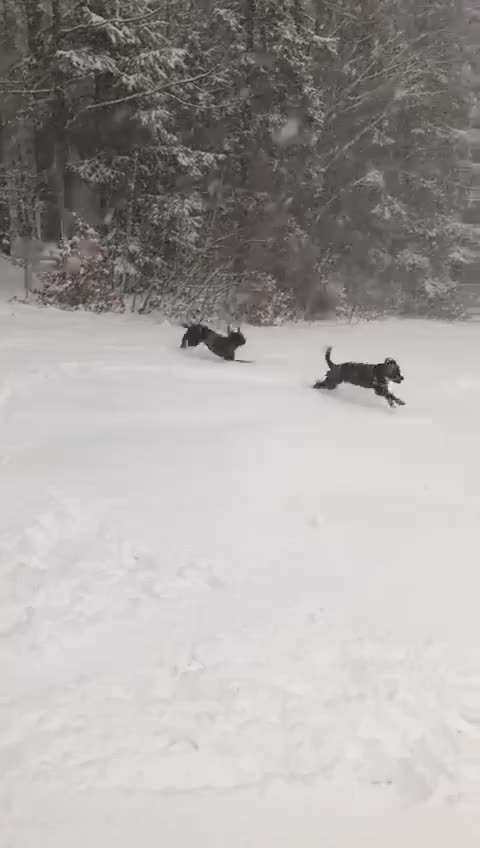 Foto Challenge - BEENDET - bitte aktuelle Challenge nutzen-Beitrag-Bild