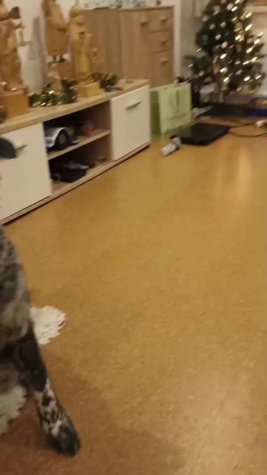 Hier ist der Spaßthread. Zum Schmunzeln und Kaputtlachen-Beitrag-Bild