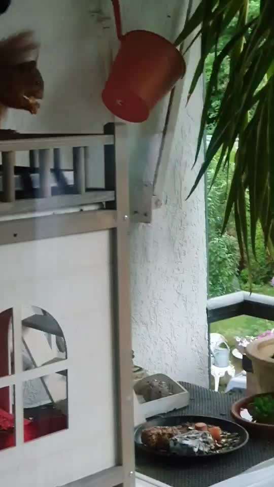 Challenge 33 - Du und dein Hund-Beitrag-Bild