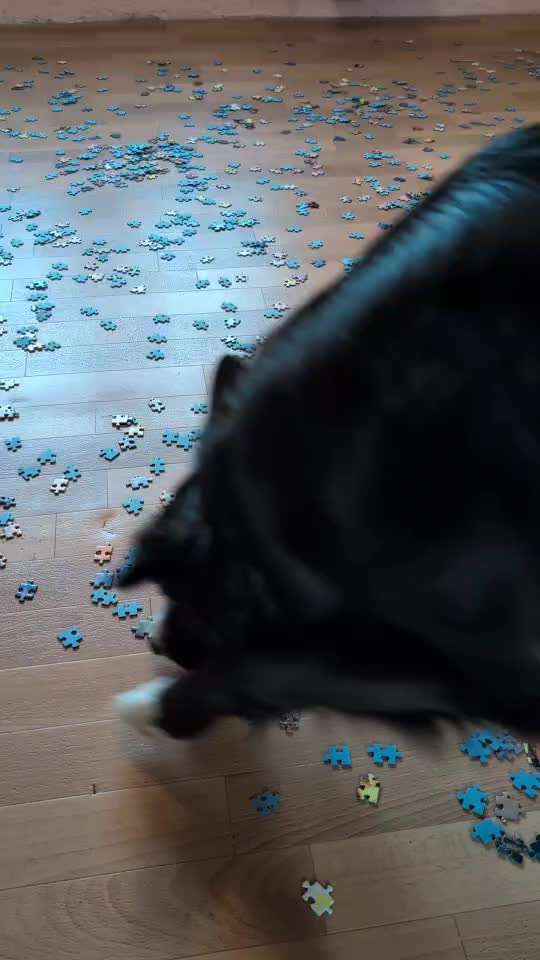 aktuelles Foto Gruppe Trickkiste