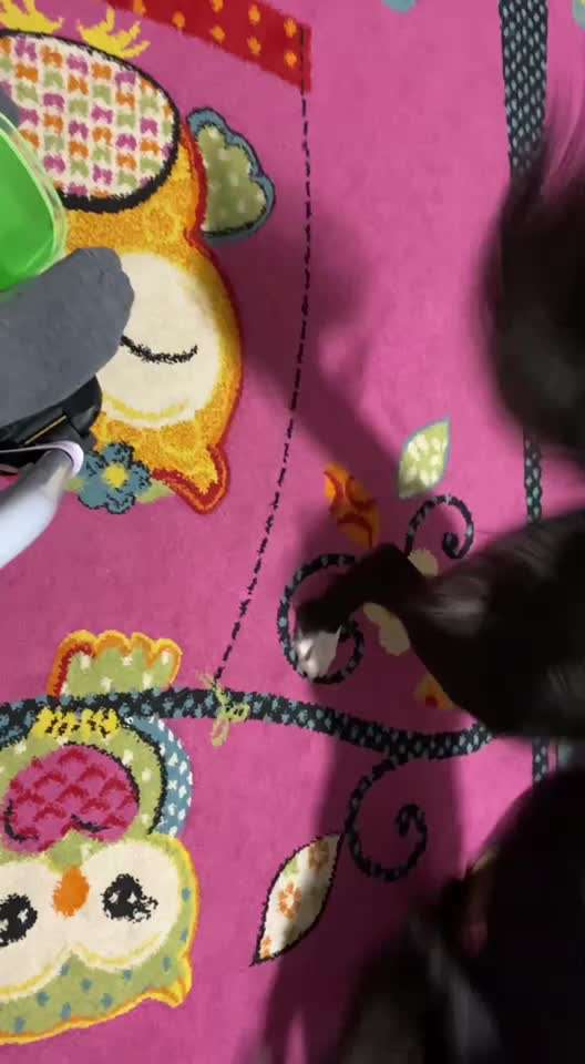 43.Gemeinsames Tricktraining: Becher stapeln-Beitrag-Bild