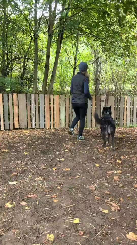 78.Trickspiel: Faceout-Beitrag-Bild