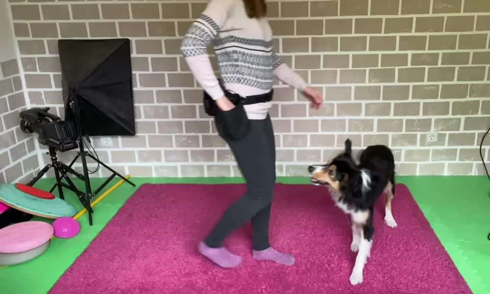 Trick Spiel - Koffer packen -der 22.-Beitrag-Bild