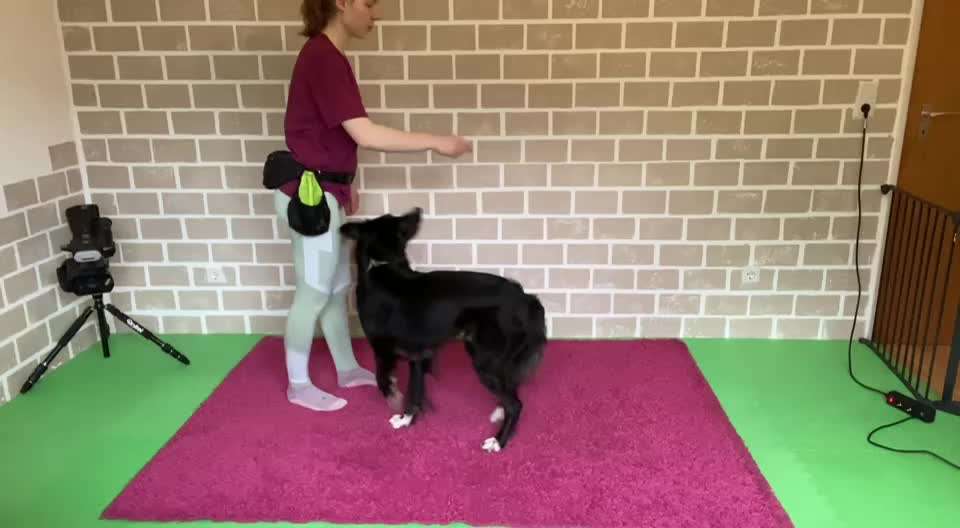 Trick Spiel - Koffer packen -der 22.-Beitrag-Bild