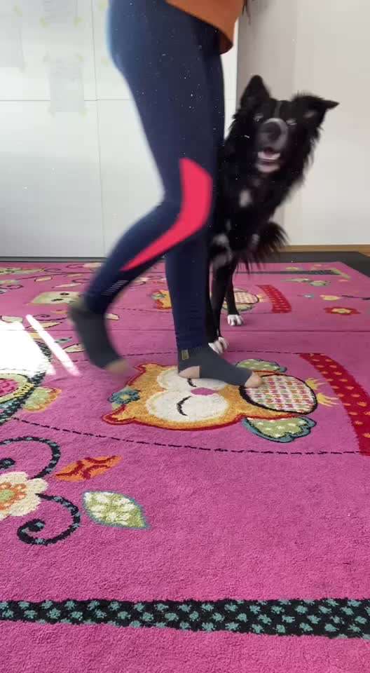 Veteranenzone - Koffer packen für fortgeschrittene-Beitrag-Bild