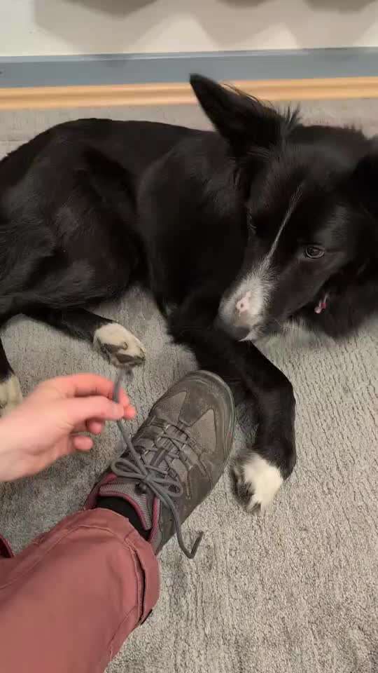 79. Trickspiel: Schuhe/Schleife öffnen-Beitrag-Bild