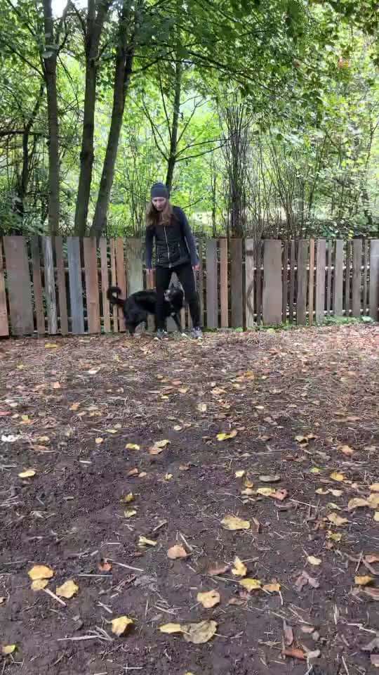 78.Trickspiel: Faceout-Beitrag-Bild