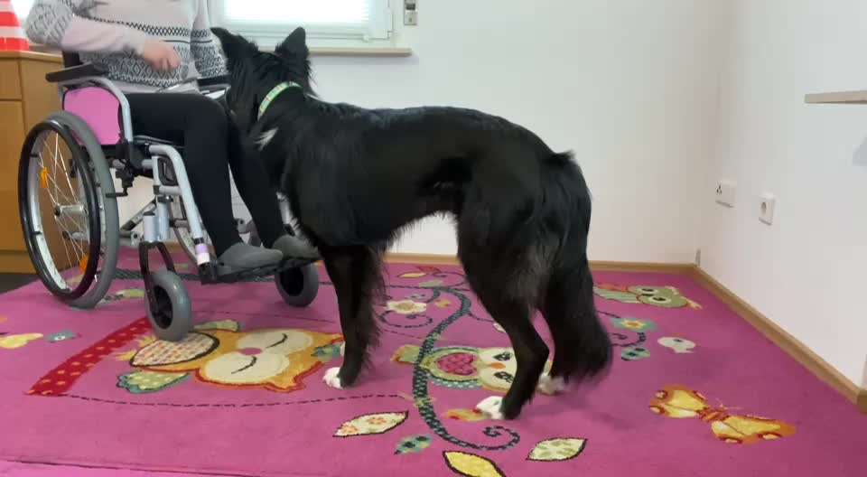 Trick Spiel - Koffer packen -der 22.-Beitrag-Bild