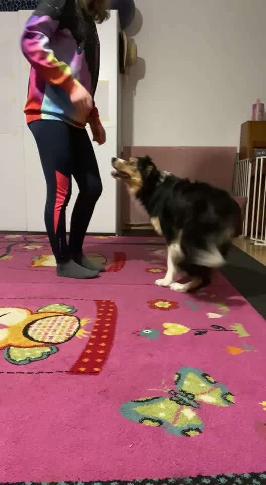 Veteranenzone - Koffer packen für fortgeschrittene-Beitrag-Bild