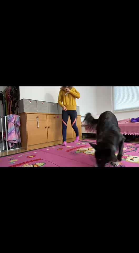 Veteranenzone - Koffer packen für fortgeschrittene-Beitrag-Bild