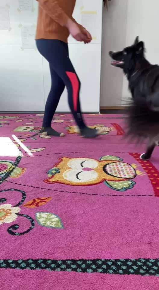 Veteranenzone - Koffer packen für fortgeschrittene-Beitrag-Bild