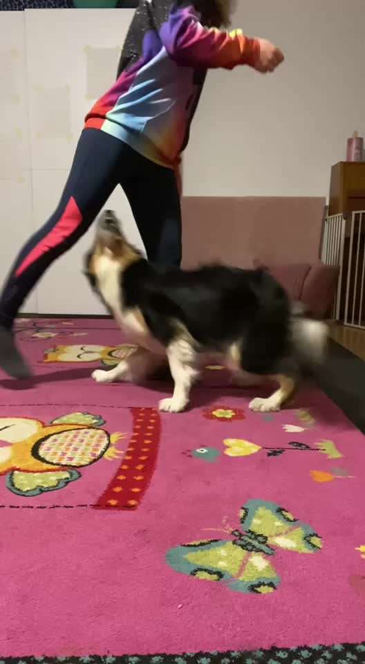 Veteranenzone - Koffer packen für fortgeschrittene-Beitrag-Bild