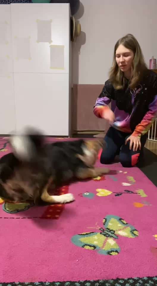 Veteranenzone - Koffer packen für fortgeschrittene-Beitrag-Bild