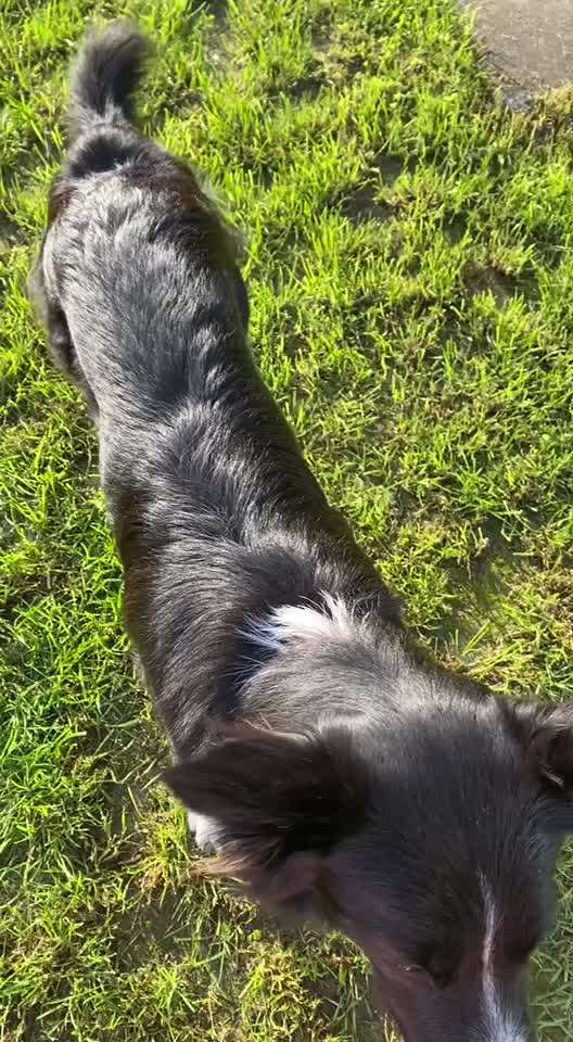 Trick Spiel - Koffer Packen - der 21.-Beitrag-Bild