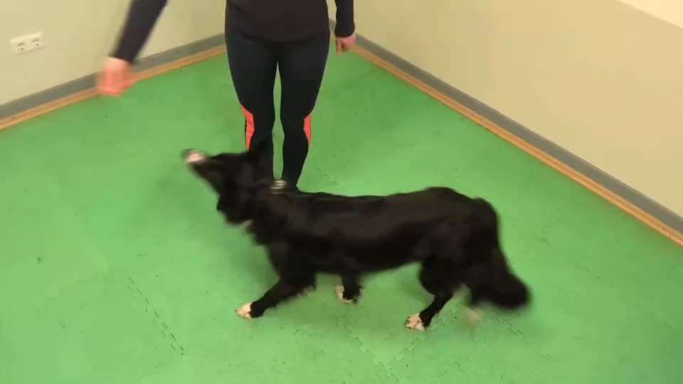 aktuelles Foto Gruppe Trickkiste