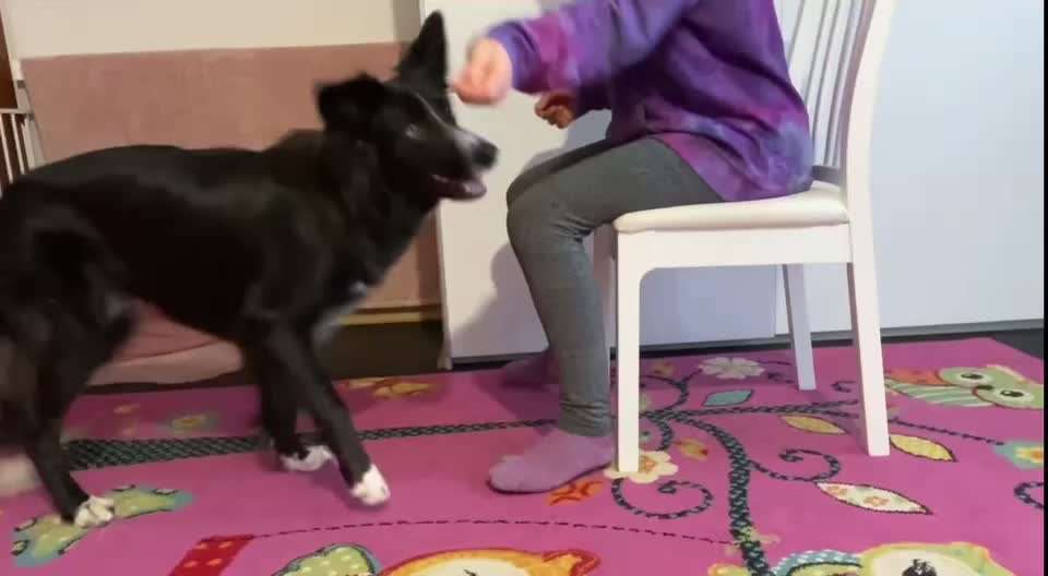 Trick Spiel - Koffer packen -der 22.-Beitrag-Bild