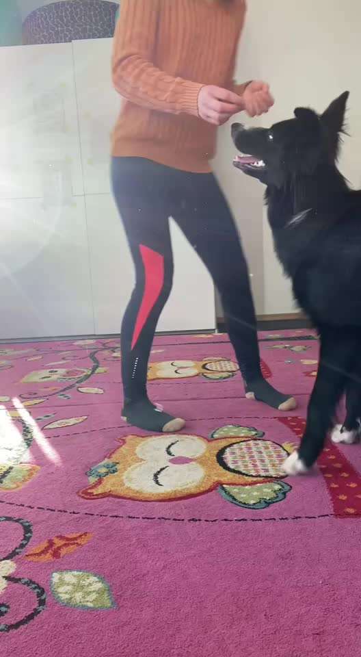 Veteranenzone - Koffer packen für fortgeschrittene-Beitrag-Bild