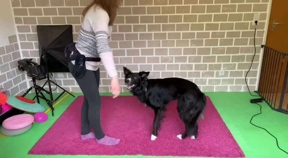 Trick Spiel - Koffer packen -der 22.-Beitrag-Bild