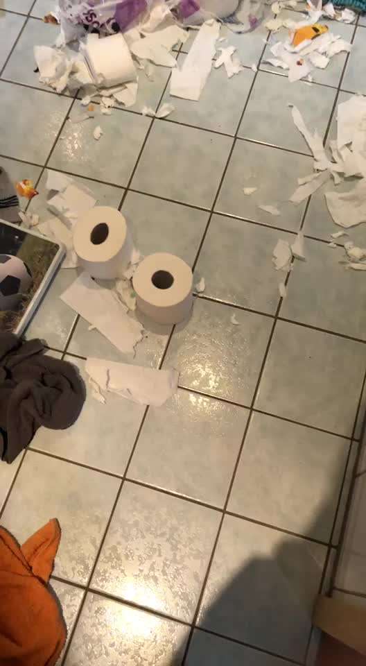 Wie lange sollte ein Hund alleine bleiben?-Beitrag-Bild