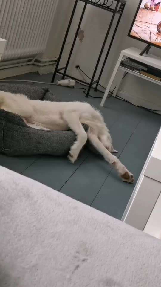 Die unbequemsten und lustigsten Schlafpositionen-Beitrag-Bild