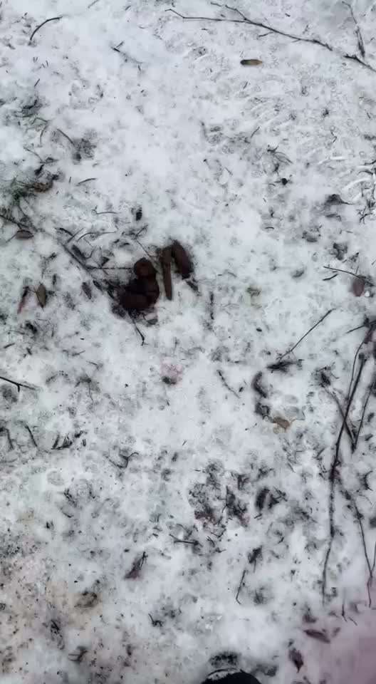 Was hat euch heute genervt?-Beitrag-Bild