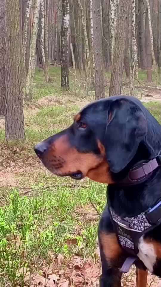 "Wege zur Freundschaft" (Ulli Reichmann)-Beitrag-Bild