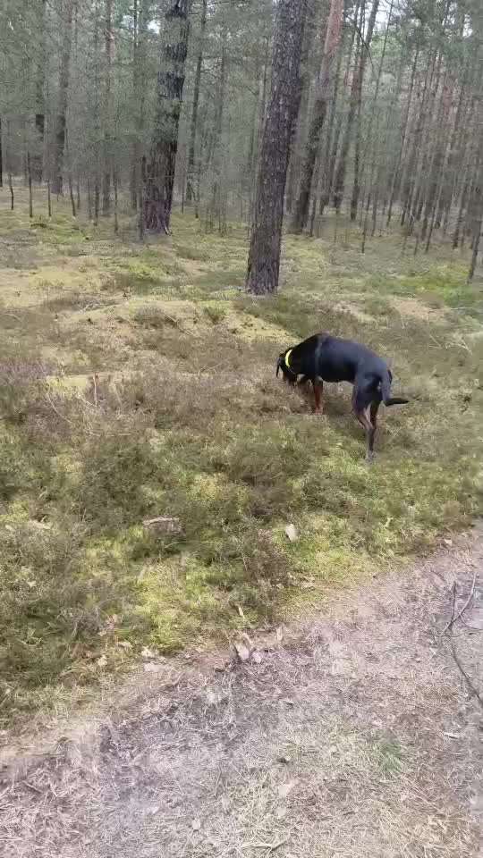 "Wege zur Freundschaft" (Ulli Reichmann)-Beitrag-Bild